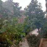 【明心文学】风雨梧桐情，百年好合意  作者/幸运儿  主播/一元迤逦