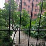 【明心文学】风雨梧桐情，百年好合意  作者/幸运儿  主播/一元迤逦