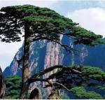 湖湘钩沉  （三十七）