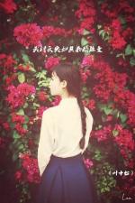 【都市头条向幸福出发编辑部】第699期《雨后花坛》作者  雷道菊