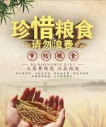 ［美文欣赏］一斤白面（散文）//文/北山虎