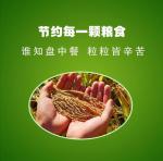 ［美文欣赏］一斤白面（散文）//文/北山虎
