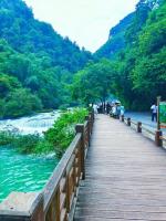 〈文艺短评〉伤痛的记忆，时代地折光反射一一慨读史会生之＜老榆树勾起童年的记忆＞一中国宝鸡／成喜良