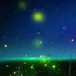 [北京头条]《也许》作者/雨下罗加，主播/柔荑