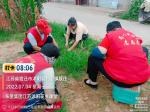 花乡田间地   志愿锄草忙