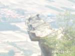 周树林《登鸡鸣山》诵/玉华