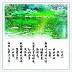 翠柳【闻雨】诵/明月清风