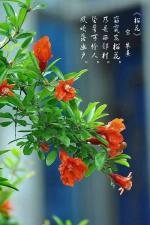 陈太阳壬寅七月初唯美诗词17章｜中国江苏泗洪都市文学社93期