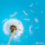 史英杰《七律•小暑郊游》（外一首）诵/玉华