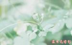 ☆沐雨抒情（外四首）／蓝月亮诗刊