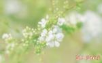☆沐雨抒情（外四首）／蓝月亮诗刊