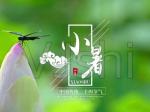 【精英名篇】【九江文学社：北京头条】《五绝四首  小暑抒怀》文/杨学是