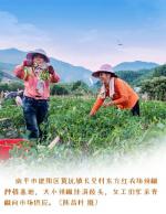 《小署节寄怀》诗人/冯竹定、主播/凤珠、编辑/黄金满地。黄金诗院有声之家。