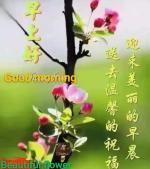 鹿山闲人壬寅七月初唯美绝句专辑｜金牌主播翩若惊鸿｜中国柳州都市诗社79期