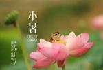 七律.小暑吟文/李改萍（内蒙古）
