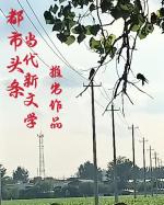 萧梅：没人理解我独行    请欣赏