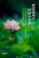 《小暑◎十六字令》（诗五首）文◎孙臣（辽宁）