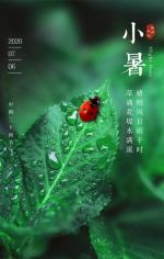 《小暑◎十六字令》（诗五首）文◎孙臣（辽宁）