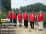 志愿来助农    当好后勤兵