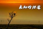 《未知的归途》作者‖飘 主播‖有源