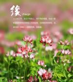［佳作欣赏］缘分//文/袁维平