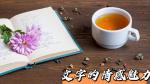 《文字的情感魅力》作者‖任晓芹 主播‖求真