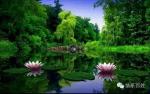 七绝. 绿茵泉浴（通韵）(外一首)‖ 文/原金荣