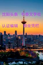 穿越大半个中国去捶你 作者//唐半傻