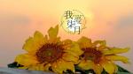 【明心文学】七月（组诗）作者/邢志坚  主播/赵淑芹