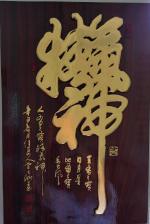 曾光明书法作品集锦/陈奕良
