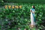 新歌上线《守望老地方》有红歌手许志刚倾情演绎！