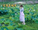 新歌上线《守望老地方》有红歌手许志刚倾情演绎！