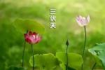 入伏诗词二首    文/利剑