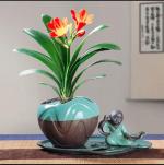 符琼莲：心安即是归途
