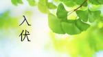 【仿古体新诗】伏天感怀 文/利剑（吉林）