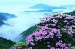 《北美翰苑诗评》