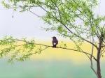 乡情 文/邹美良