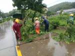 《定风波，风雨交加电闪鸣》中华新韵欧阳烔体—作者‖田淑荣