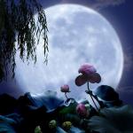 荐赏：《七绝•无题》外8首  诗人冰清玉洁