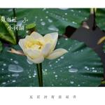 【明心文学】邢志坚/组诗三首  主播/赵淑芹