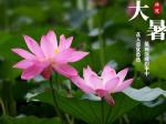 【大暑专刊】【九江文学社：北京头条】《群合集》