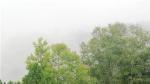 七律·雷阵雨（新韵）文／坦然（谭明轩）