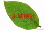 【郑州头条】赞警旗-文／刘学良！旗塑灵魂根，孕育忠诚心。鲜明方向指，家国情怀深。