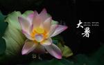 七律•大暑 文/张会伟