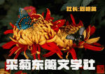 《夏夜冥想》作者:苟平刚(甘肃).编辑制作:段广亭【都市头条采菊东篱文学社】