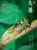 【精英专刊】【九江文学社：北京头条】《咏夏  五绝四首》文/杨学是