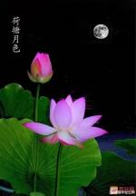 《望星空》作者/冯期武   【都市头条采菊东篱文学社】