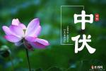 入伏诗词两首文/利剑（吉林）七律（通韵）