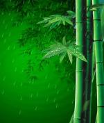 竹韵    文/海青     主播/小桥流水