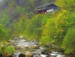 涡河秋景        文／刘景颜